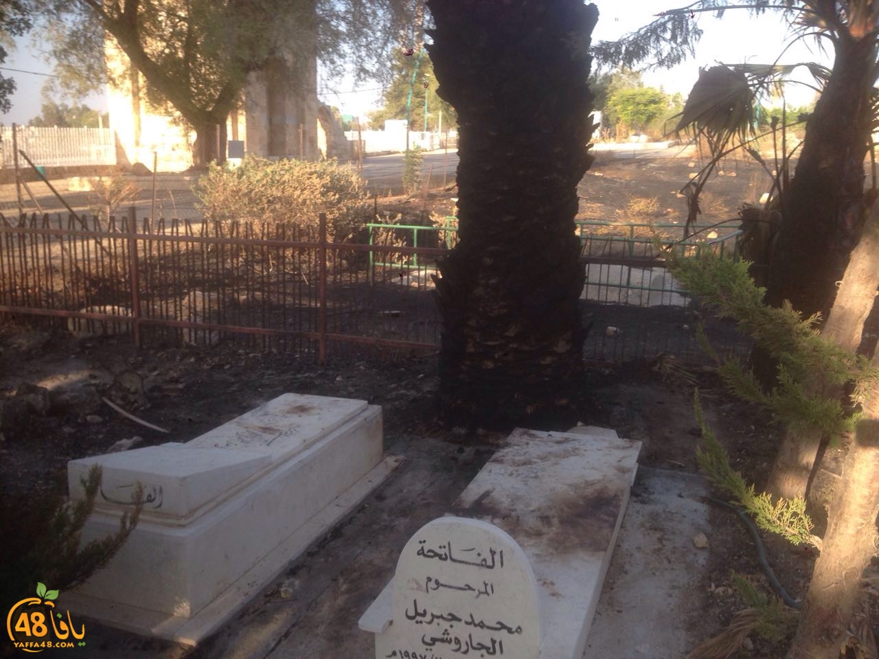 qqbr ramlasj (2).jpg